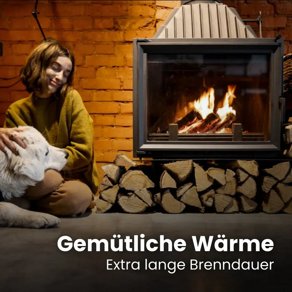 Premium Buchen Brennholz 1 RM / 1,6 SRM – 25 cm – 500 kg