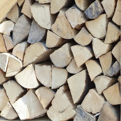 Grünwaren Buchen Brennholz 180 kg – 25 cm – trocken